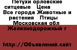 Петухи орловские ситцевые › Цена ­ 1 000 - Все города Животные и растения » Птицы   . Московская обл.,Железнодорожный г.